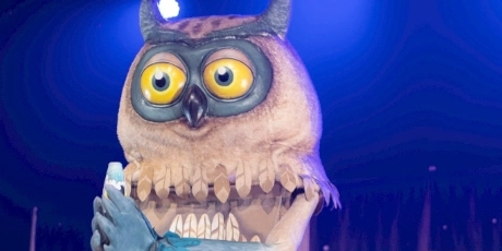 Spectacle Le Rêve du Hibou